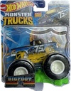 Hot Wheels™ Monster Trucks