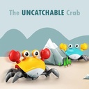 Induction Electric Crab