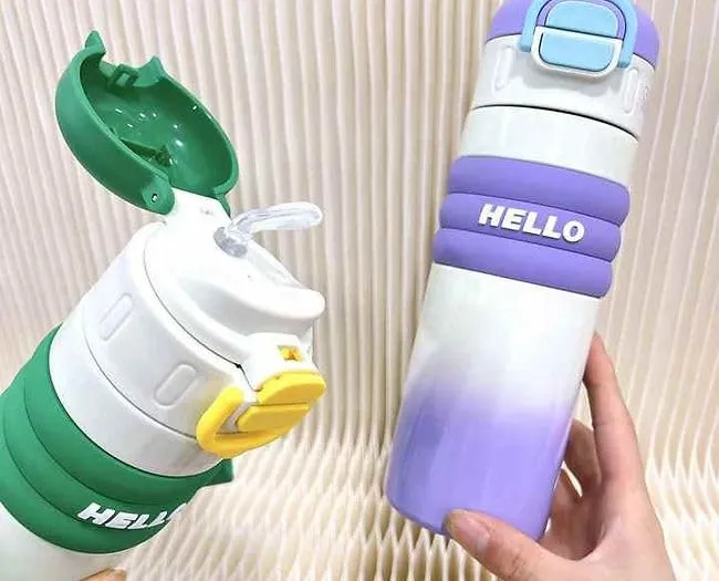 Hello Insulated Dual Sipper Water Bottle (500ML)